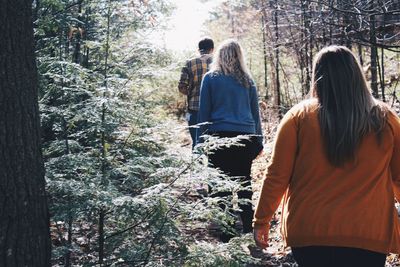 Rear view of hikers walking in forest