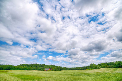 Scenic view of field against sky