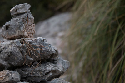 Close-up of statue against rock