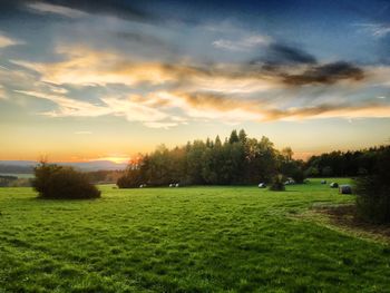 Scenic view of grassy field against sky during sunset