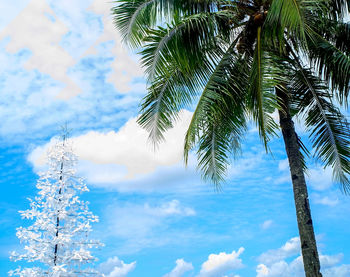 Low angle view of palm trees against blue sky