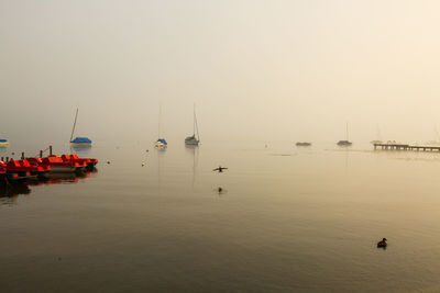 Sailboats in sea against clear sky