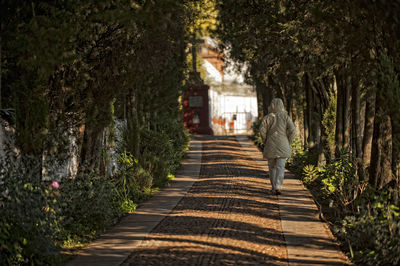 Rear view of people walking on footpath in forest