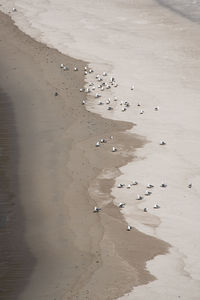 High angle view of beach