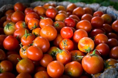 High angle view of tomatoes for sale at market stall
