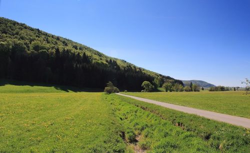 Scenic view of landscape against clear blue sky