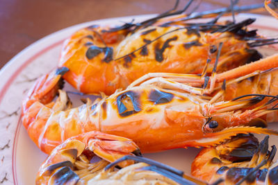 Close-up of fish in plate