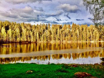 Scenic view of lake in forest against sky