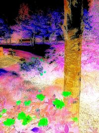 Close-up of pink flowers at night