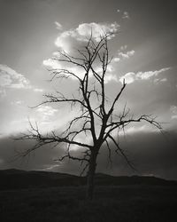 Silhouette bare tree on field against sky