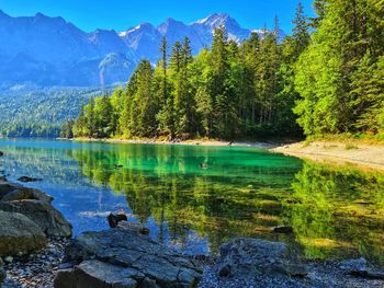 Scenic view of lake by trees against mountain