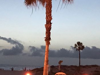 Palm trees on beach against sky