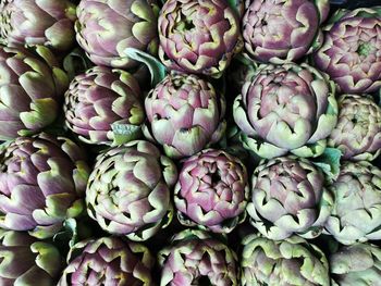 Artichokes for sale