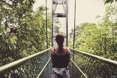Rear view of woman standing by railing
