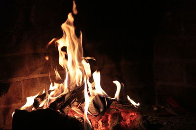 Close-up of bonfire at night