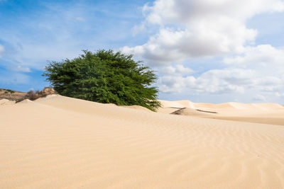 Scenic view of desert against sky