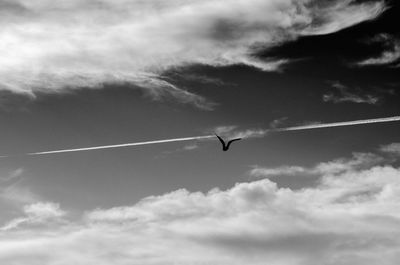 Low angle view of silhouette bird flying against sky