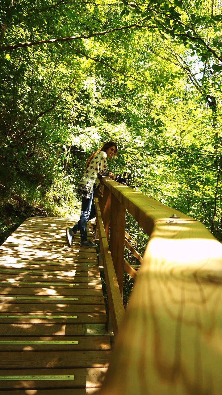 tree, transportation, the way forward, footbridge, railing, bicycle, sunlight, forest, growth, mode of transport, bridge - man made structure, nature, tranquility, branch, shadow, connection, diminishing perspective, leisure activity, day