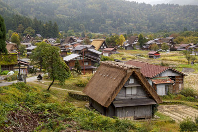 Houses and trees in village