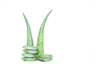 Close-up of fresh green pepper against white background