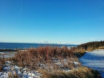 Scenic view of sea against clear blue sky