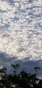 Low angle view of trees against cloudy sky