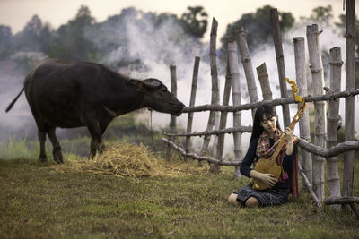 Horse standing in field