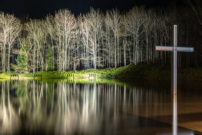 Reflection of trees on lake