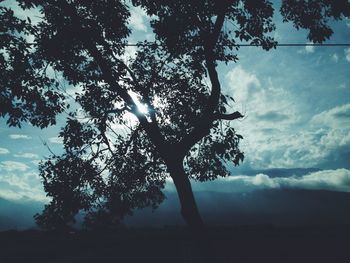 Low angle view of silhouette tree against sky