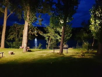 Trees on field by lake at night