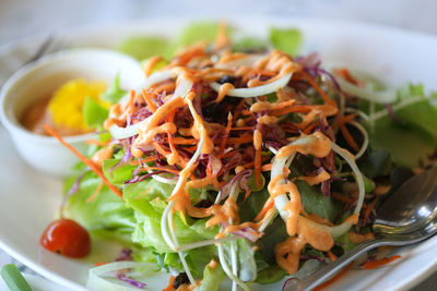 Close-up of meal served in plate