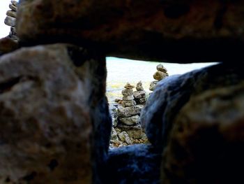 Close-up of horse on rock