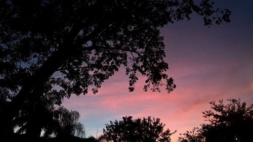 Low angle view of silhouette trees against sky at sunset