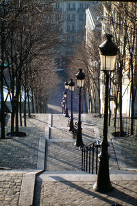 High angle view of lamp posts at staircase amidst bare trees