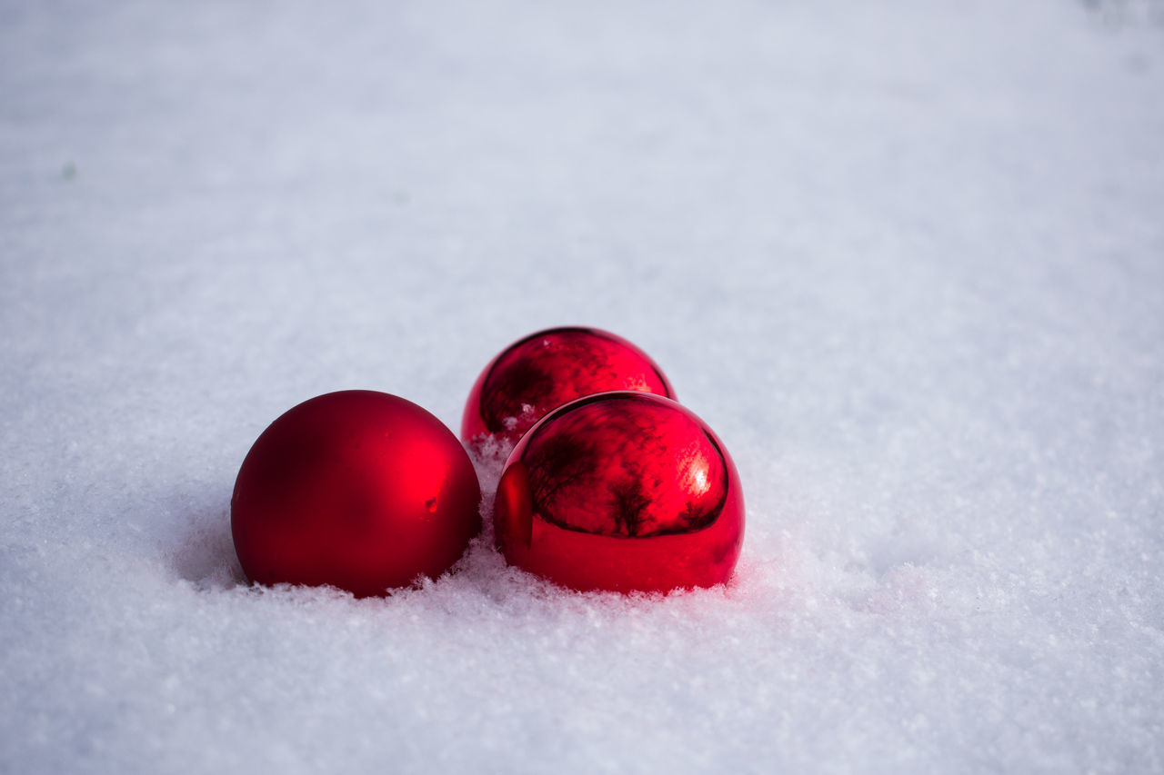 cold temperature, snow, red, winter, nature, white color, close-up, no people, frozen, food, food and drink, healthy eating, field, fruit, covering, land, day, selective focus, freshness, powder snow
