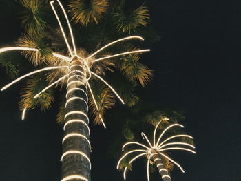 Low angle view of firework display against sky at night