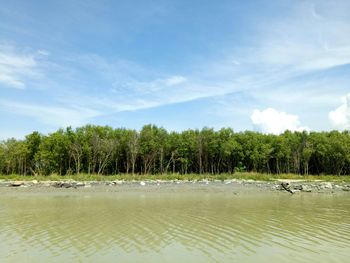 Scenic view of lake by trees against sky