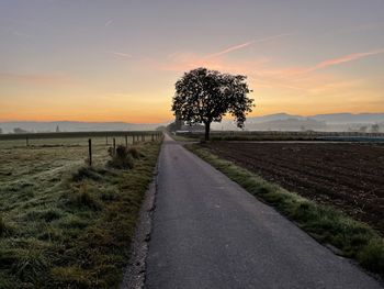 Road by trees on field against sky during sunset