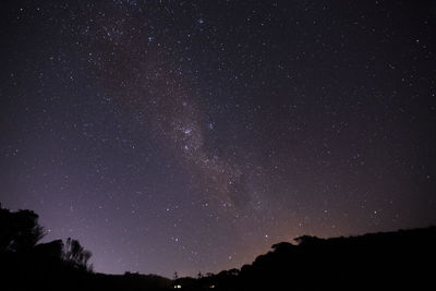 Low angle view of silhouette trees against star field at night