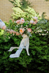 Person holding white flowering plant