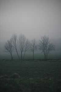 Bare trees on field against clear sky
