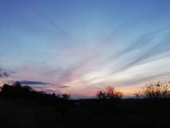 Silhouette trees on landscape against sky at sunset