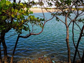 Scenic view of sea