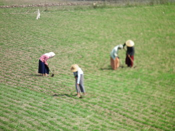 People on grassy field