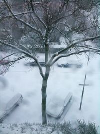 Snow covered trees in winter