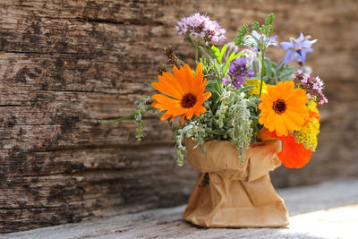 Close-up of flowering plant against wooden wall