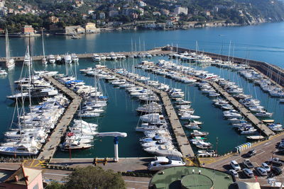 Boats in harbor