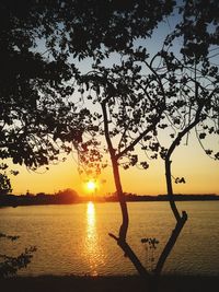 Silhouette trees by lake against sky during sunset