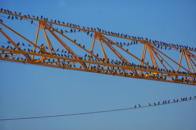 Low angle view of birds perching on crane against clear blue sky