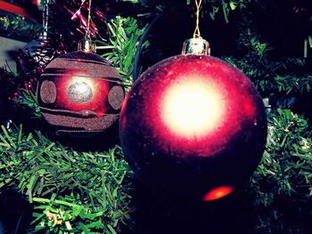 Close-up of illuminated christmas tree at night